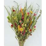 Dried Flower Bouquet - Painted Desert Bunch