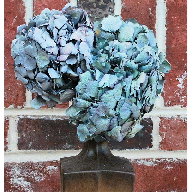 Dried Hydrangea Flower Bunch - Blue Color Hydrangea Flowers