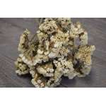 Dried Statice Sinuata Flower Bunch - White