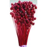 Dried Pineapple Button Flowers