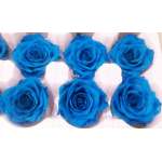 Preserved Roses - 8 per Order - Colors: Green, Blue, Black