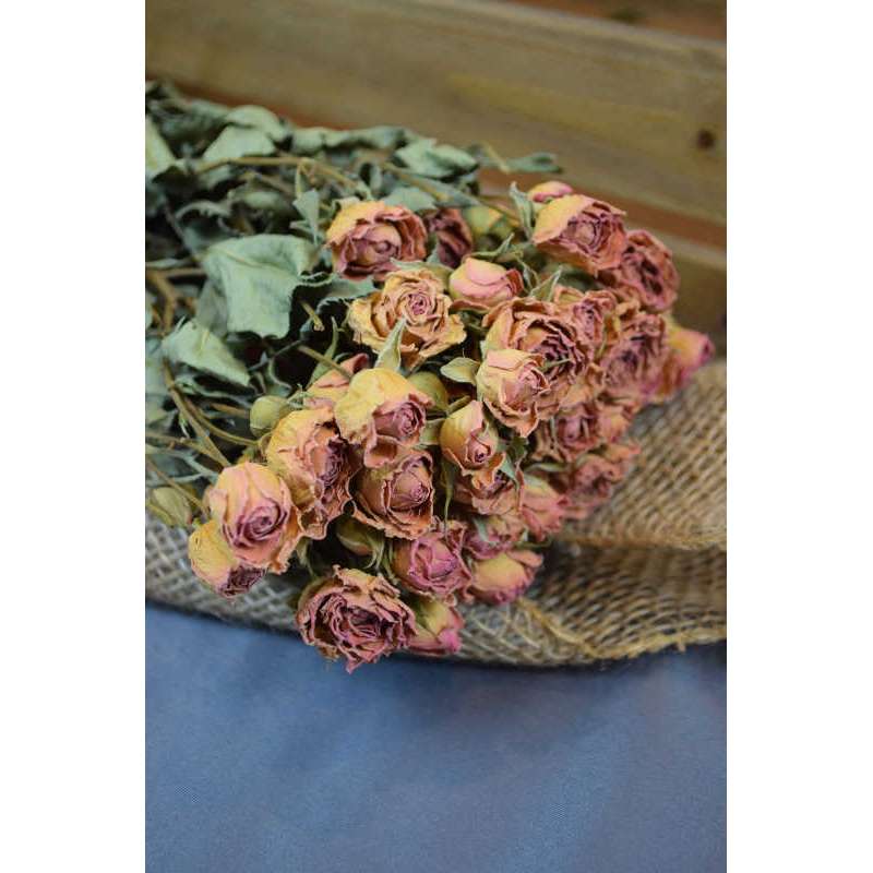 ORGANIC DRIED-Preserved Blush Pink Mini Spray Roses (20 STEMS) Rose Bundle  Bouquet of Dried Small Mini Roses + Free Same Day Shipping