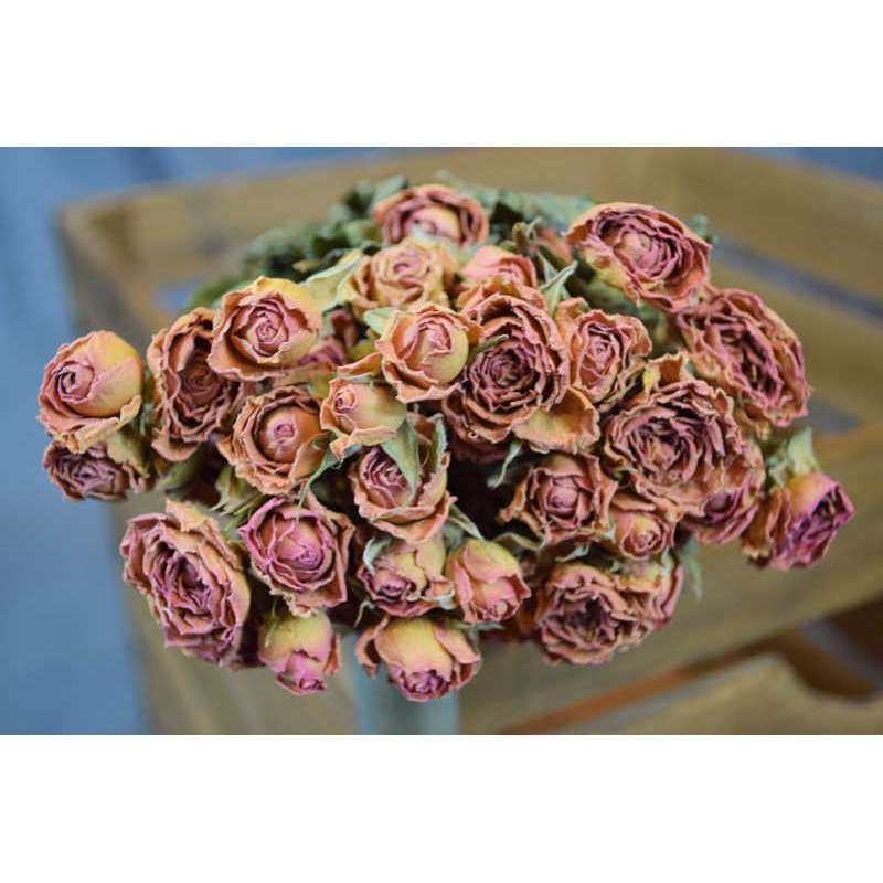 Dry Flowers - Assorted Bundle 2 — RoseBuck