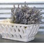 Dried English Lavender Bunch - Large Bundle of Royal Velvet