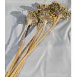 Dried Sunflower Heads - Large