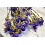 Dried Statice Sinuata Flower Bunch - Lavender