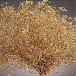 Gold Sparkle Stardust Gypsophila - Baby's Breath - Case Only