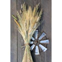 Late Summer Harvest Grain Bunch