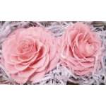 Preserved Roses - Extra Large - 2 per Order - Colors