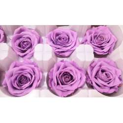 Preserved Roses - 8 per Order - Colors: Purple, Yellow, Orange