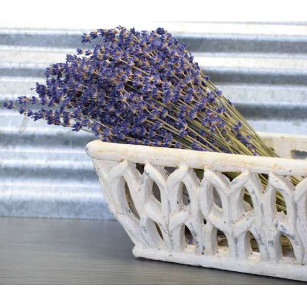 Super Blue Royal Velvet Lavender Bunch