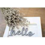 Rare Dried White Lavender Bunch