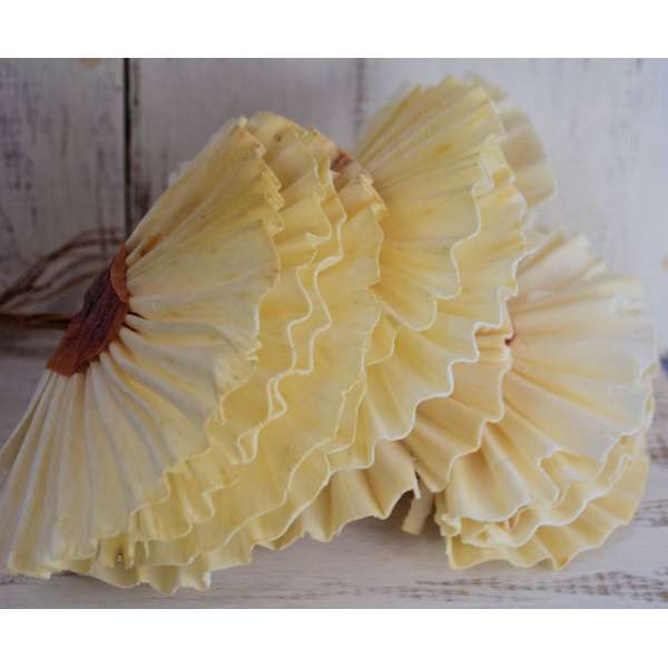 Wood Fan Flowers - Sola Fans