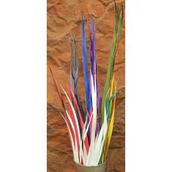 Dried African Flax / Colored Sabel Palm Dried African Flax / Colored Sabel Palm