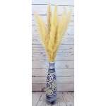 Dried Ornamental Pampas Grass - Feathered Stem