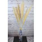 Dried Ornamental Pampas Grass - Feathered Stem