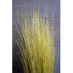 Dried Dune Grass Centerpiece