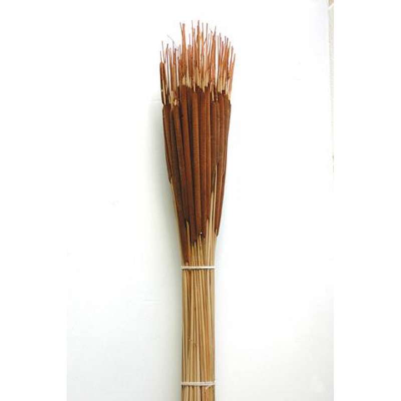 Dried Cattails Cattails for Sale Curious Country Creations