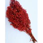 Dried Pepperberries - Dried Pepper Berries