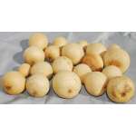 Dried Field Gourds - Small Size