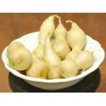 Dried Field Gourds - Small Size