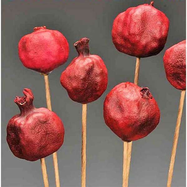 Dried Pomegranates Stemmed (Enhanced or Polished Case)