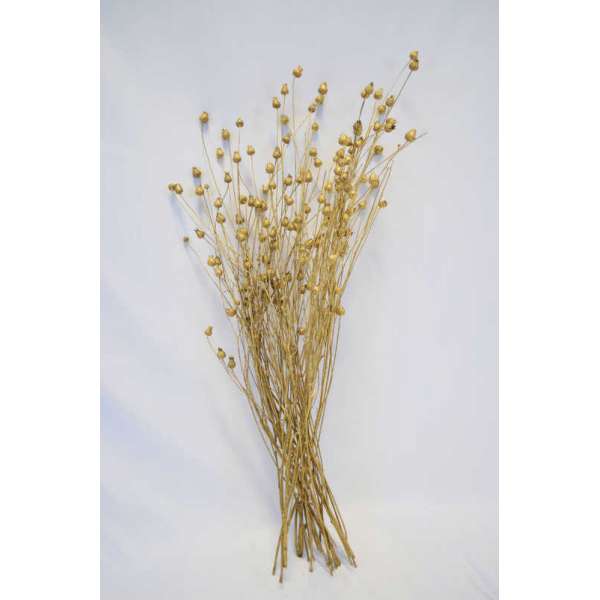 Dried Centaurea Pod Bunch - Gold