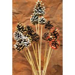 Painted, Tipped, Stemmed Pine Cones