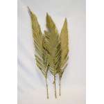 Cut Palm Frond Leaves - Natural