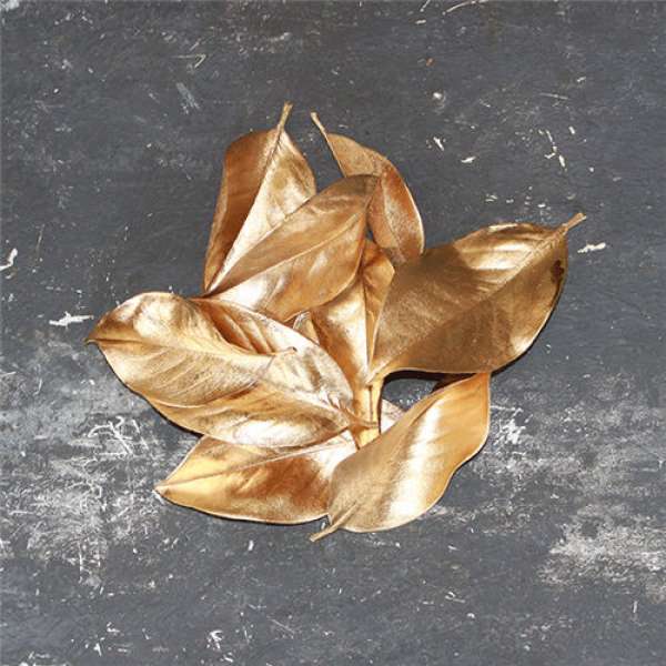 Painted Magnolia Leaves - Case