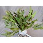 Preserved Willow Eucalyptus Bunch - Green