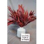 Preserved Willow Eucalyptus Bunch - Red Preserved Willow Eucalyptus Bunch - Red
