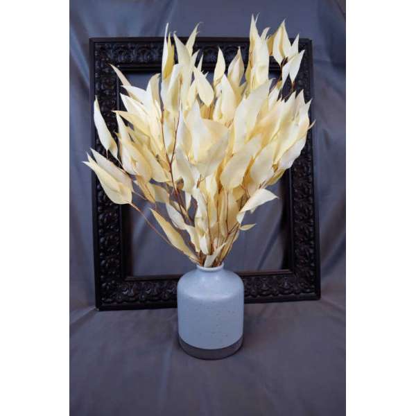 Preserved Willow Eucalyptus Bunch - Bleached White