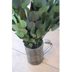 Preserved Populus Eucalyptus Bunch - Green