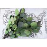 Preserved Populus Eucalyptus Bunch - Green