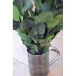 Preserved Populus Eucalyptus Bunch - Green