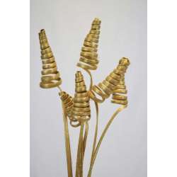 Dried Cane Cones - Gold Painted