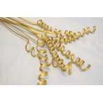 Dried Cane Springs - Gold