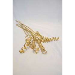 Dried Cane Springs - Gold