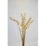 Dried Cane Springs - Gold