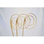 Dried Cane Spirals - Natural