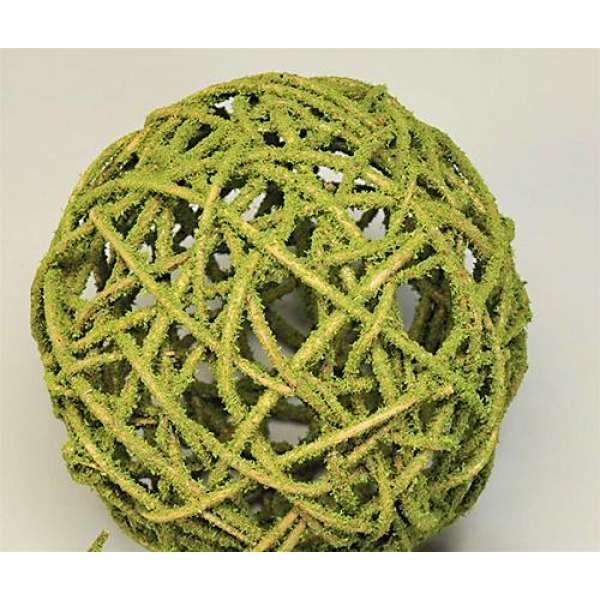 Mosscoat Curly Willow Topiary Ball