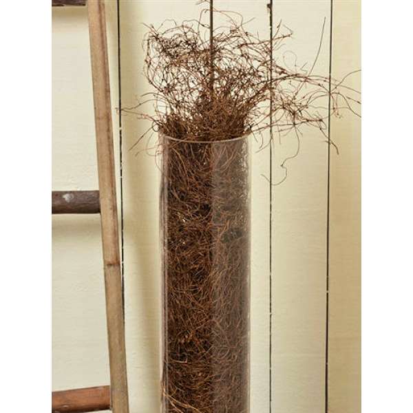 Dried Angel Vine - 5lb box