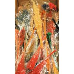 Dried Mixed Floral Supply Box (Great Sample Box)