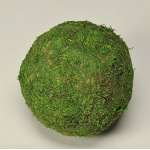 Decorative Moss Balls - 2,6,8 inch diameter