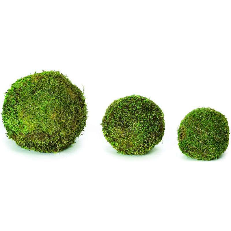 Decorative Moss Balls, Moss Balls for Sale