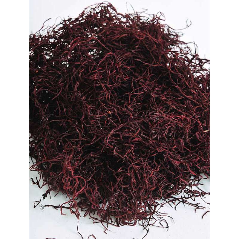 Dried Spanish Moss Dried Spanish Moss 1lb bag