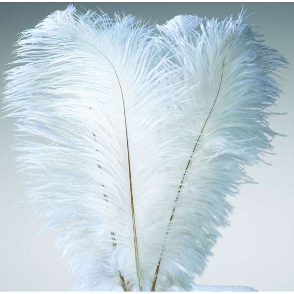 Ostrich Feathers - White Wing Plumes