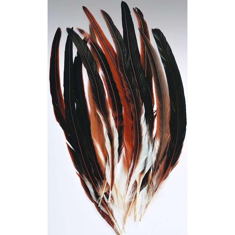 Rooster Feathers For Sale, Bulk Feathers