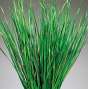 Dried Grasses